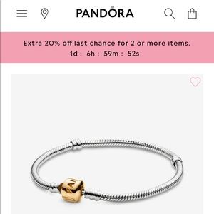 NWOT Pandora Two-Tone Charm Bracelet